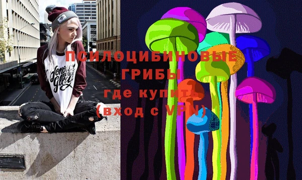 амф Аркадак