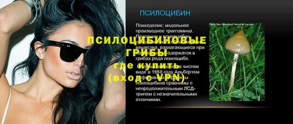 амф Аркадак