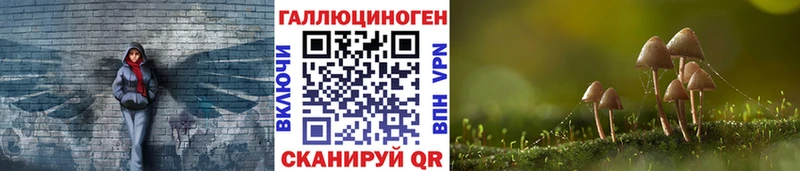 наркотики  Миньяр  Галлюциногенные грибы мицелий 
